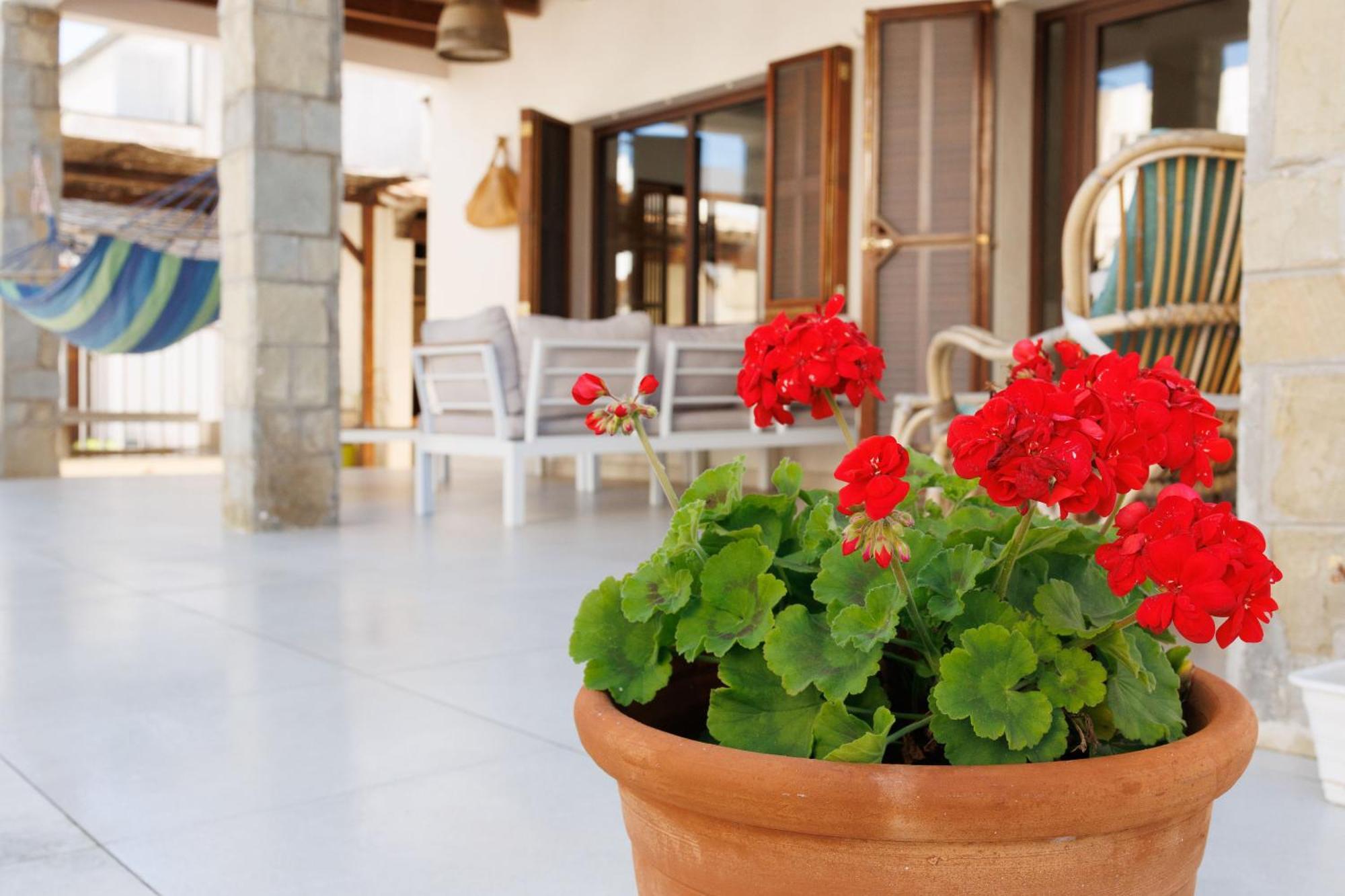 Villa Can Ordinas Alcúdia Buitenkant foto
